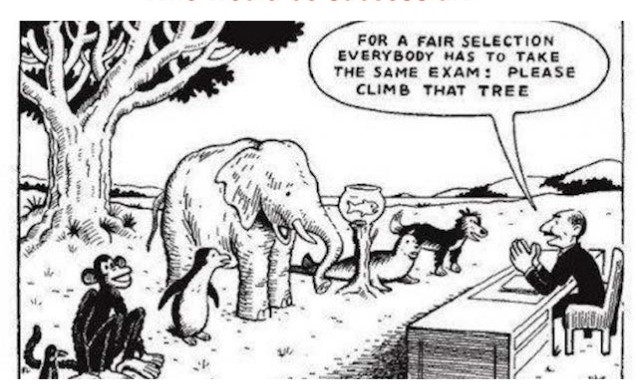 Genius is not measured by IQ