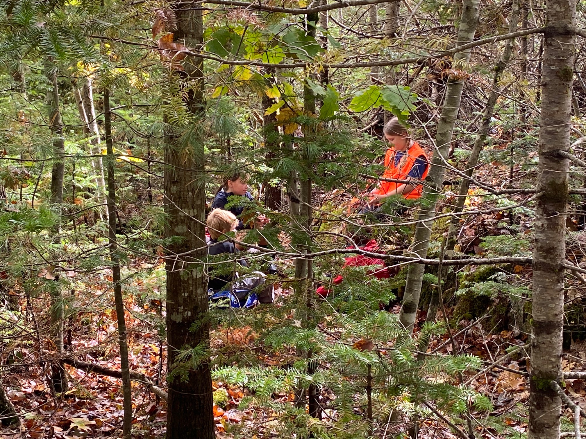 Why Kids Need to Spend Time in Nature