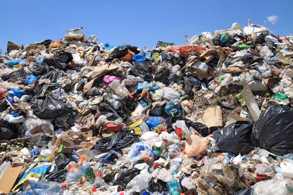 Turning Garbage Into Music