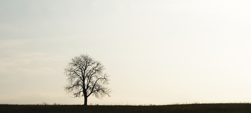 Feeling Lonely Or Insecure As An Acton Parent?