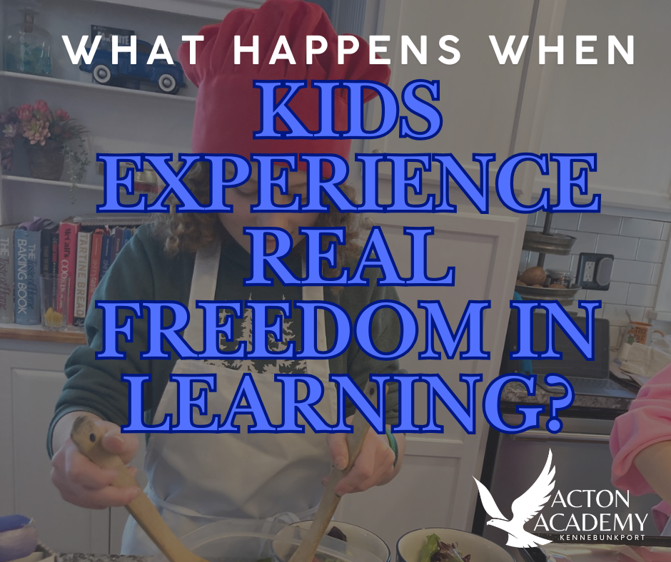 What Happens When Kids Experience Real Freedom in Learning?