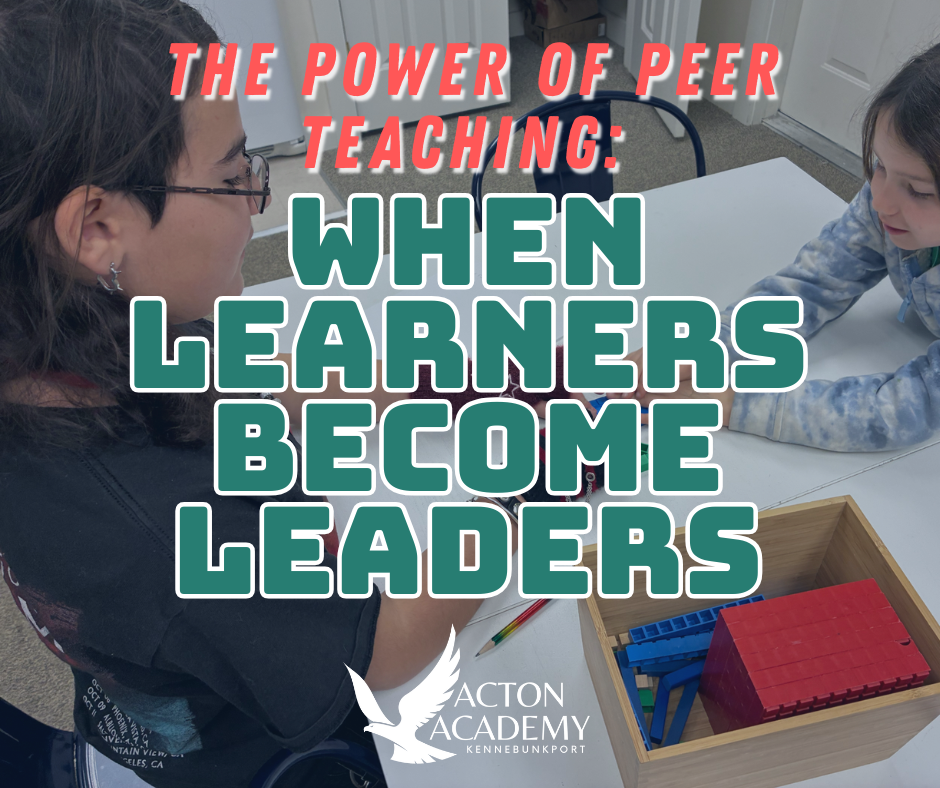 The Power of Peer Teaching: When Learners Become Leaders