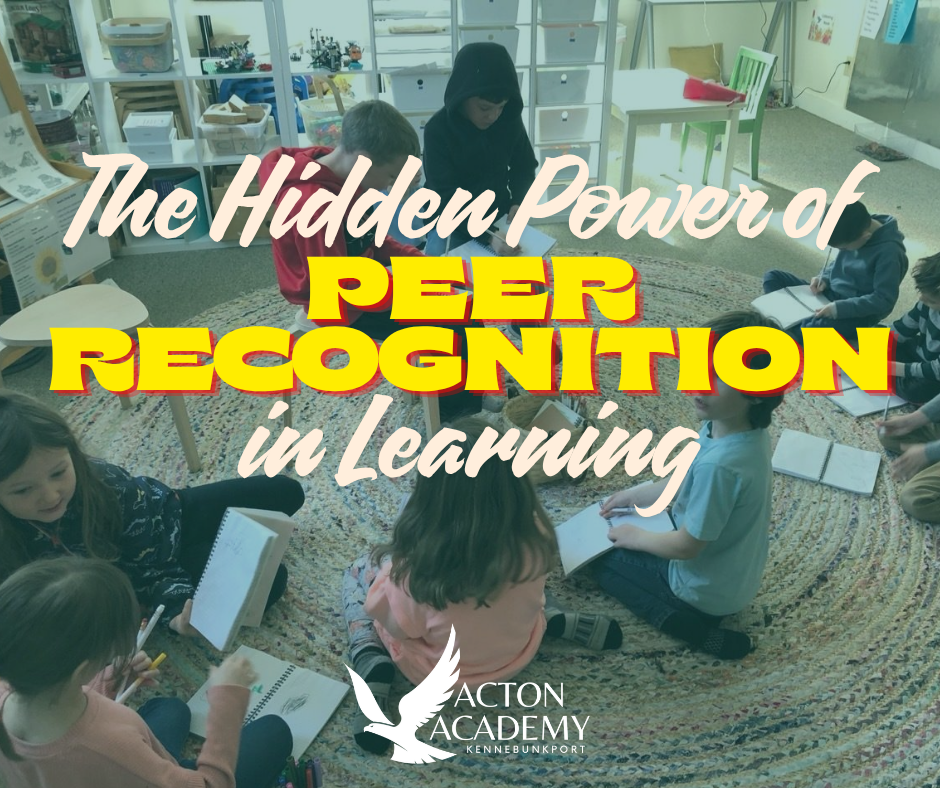 The Hidden Power of Peer Recognition in Learning