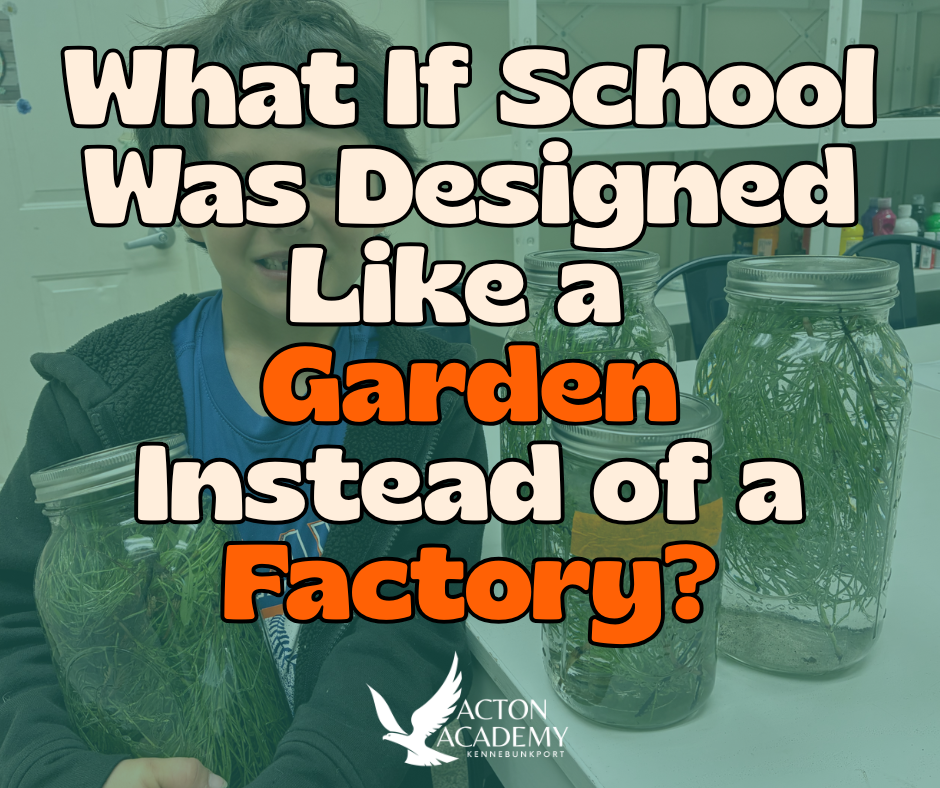 What If School Was Designed Like a Garden Instead of a Factory?